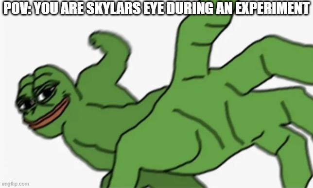 I have no motivation to draw T^T | POV: YOU ARE SKYLARS EYE DURING AN EXPERIMENT | image tagged in pepe punch | made w/ Imgflip meme maker