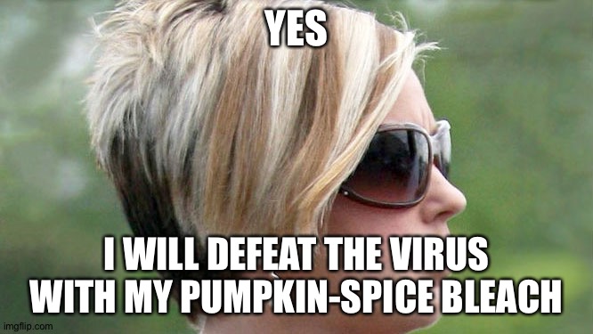 Karen | YES I WILL DEFEAT THE VIRUS WITH MY PUMPKIN-SPICE BLEACH | image tagged in karen | made w/ Imgflip meme maker