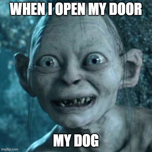 Gollum | WHEN I OPEN MY DOOR; MY DOG | image tagged in memes,gollum | made w/ Imgflip meme maker