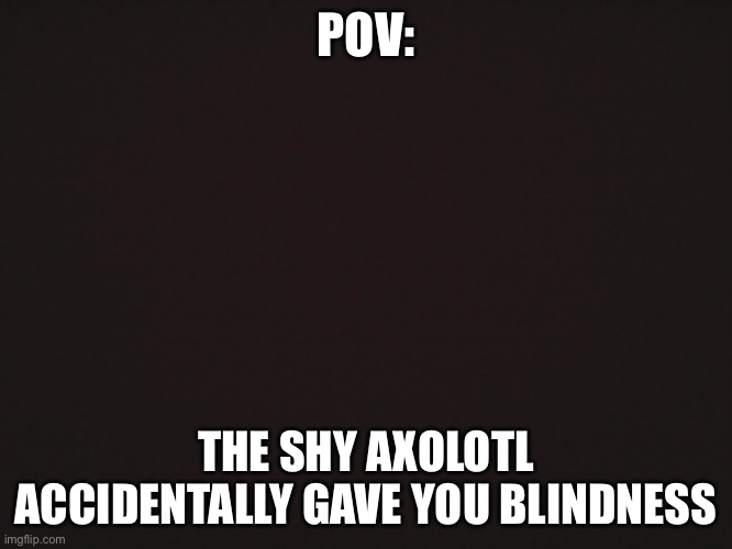 They are pretty shy | POV:; THE SHY AXOLOTL ACCIDENTALLY GAVE YOU BLINDNESS | image tagged in blank template | made w/ Imgflip meme maker