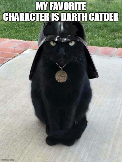 Dark cat | MY FAVORITE CHARACTER IS DARTH CATDER | image tagged in dark cat | made w/ Imgflip meme maker
