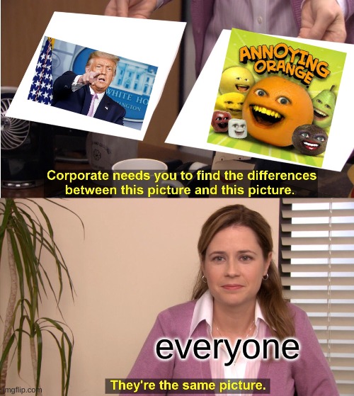 They're the same the same thing | everyone | image tagged in memes,they're the same picture | made w/ Imgflip meme maker