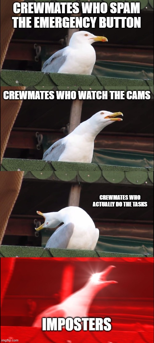 among us | CREWMATES WHO SPAM THE EMERGENCY BUTTON; CREWMATES WHO WATCH THE CAMS; CREWMATES WHO ACTUALLY DO THE TASKS; IMPOSTERS | image tagged in memes,inhaling seagull | made w/ Imgflip meme maker