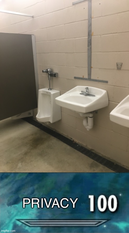 Bruh |  PRIVACY | image tagged in skyrim 100 blank,why are bath,bathroom | made w/ Imgflip meme maker