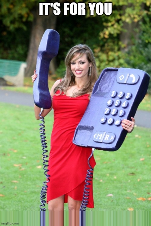 Giant phone | IT'S FOR YOU | image tagged in giant phone | made w/ Imgflip meme maker