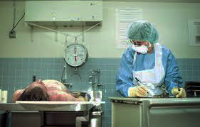 High Quality Autopsy report Blank Meme Template