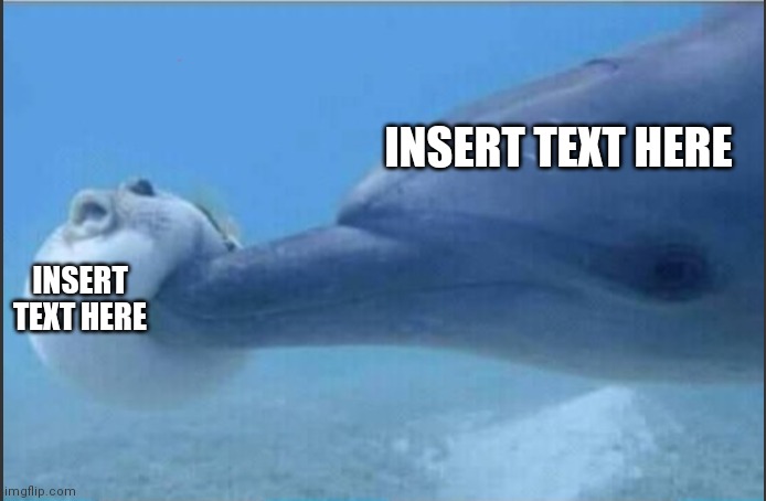 Dolphin Poking Pufferfish | INSERT TEXT HERE; INSERT TEXT HERE | image tagged in dolphin poking pufferfish,custom template,caption this,memes | made w/ Imgflip meme maker