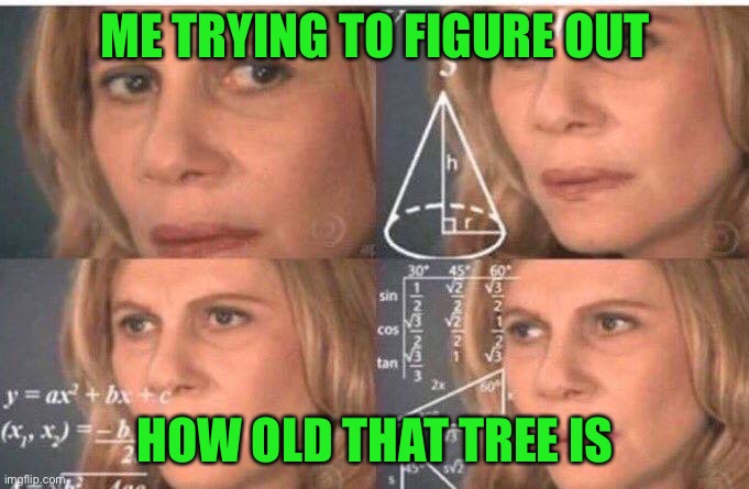 Math lady/Confused lady | ME TRYING TO FIGURE OUT HOW OLD THAT TREE IS | image tagged in math lady/confused lady | made w/ Imgflip meme maker