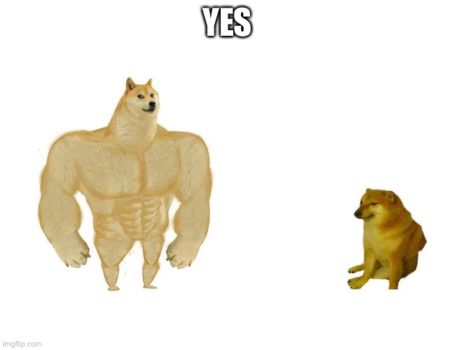 Doggo and cheems | YES | image tagged in doggo and cheems | made w/ Imgflip meme maker