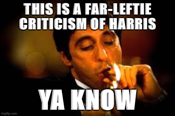 When righties attack Harris on her criminal justice record. | THIS IS A FAR-LEFTIE CRITICISM OF HARRIS; YA KNOW | image tagged in al pacino cigar,kamala harris,left wing,election 2020,2020 elections,racism | made w/ Imgflip meme maker
