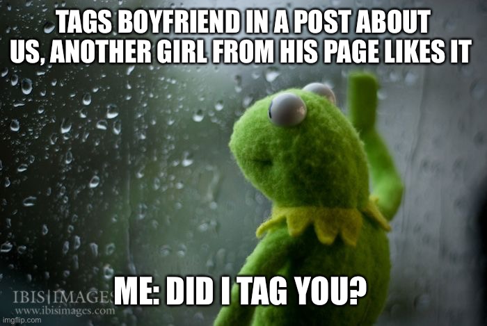 kermit window | TAGS BOYFRIEND IN A POST ABOUT US, ANOTHER GIRL FROM HIS PAGE LIKES IT; ME: DID I TAG YOU? | image tagged in kermit window | made w/ Imgflip meme maker