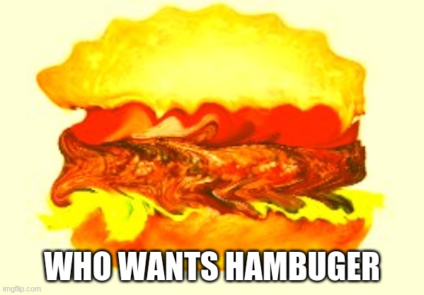 Hamberger | WHO WANTS HAMBUGER | image tagged in hamburger | made w/ Imgflip meme maker