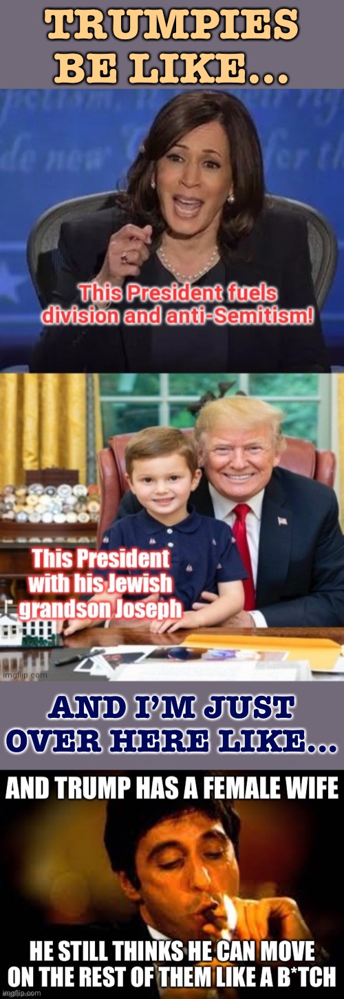 Apparently having a female wife isn’t a cure for sexism and misogyny, so why would having a Jewish grandkid be any different? | TRUMPIES BE LIKE... AND I’M JUST OVER HERE LIKE... | image tagged in anti-semitism,trump is a moron,sexism,misogyny,trump is an asshole,bigotry | made w/ Imgflip meme maker