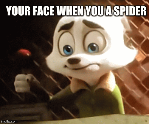 Dillan's Funny Memes | YOUR FACE WHEN YOU A SPIDER | image tagged in gifs | made w/ Imgflip images-to-gif maker