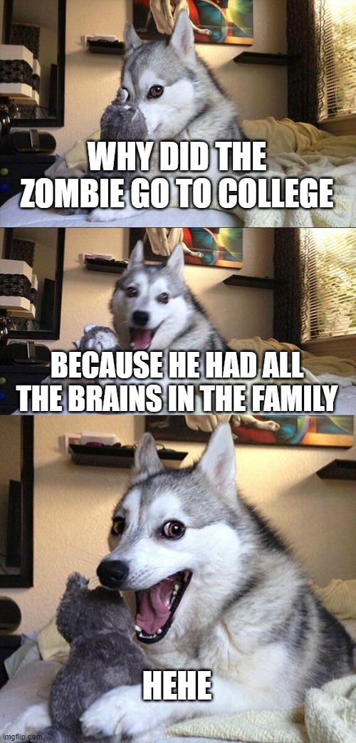 hehe | WHY DID THE ZOMBIE GO TO COLLEGE; BECAUSE HE HAD ALL THE BRAINS IN THE FAMILY; HEHE | image tagged in memes,bad pun dog | made w/ Imgflip meme maker