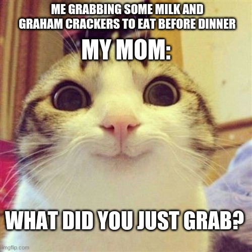 I just wanted graham crackers- | ME GRABBING SOME MILK AND GRAHAM CRACKERS TO EAT BEFORE DINNER; MY MOM:; WHAT DID YOU JUST GRAB? | image tagged in cats big eyes | made w/ Imgflip meme maker