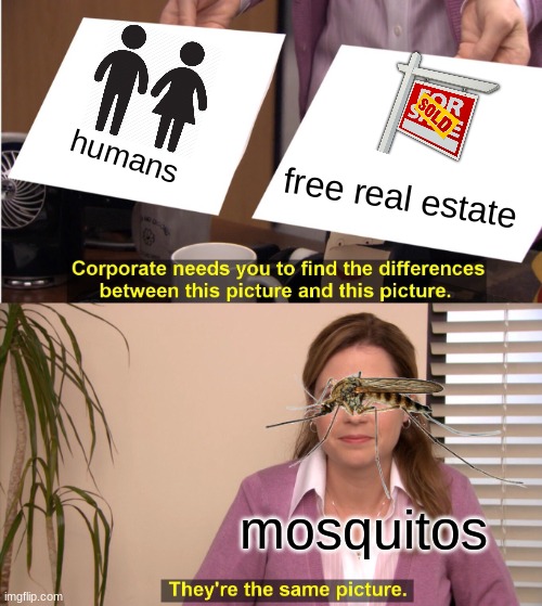 in the eyes of a mosquito. | humans; free real estate; mosquitos | image tagged in memes,they're the same picture,mosquito,mosquito attack,funny,haha | made w/ Imgflip meme maker