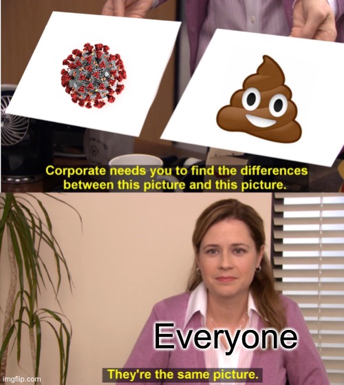 They're The Same Picture | Everyone | image tagged in memes,they're the same picture | made w/ Imgflip meme maker