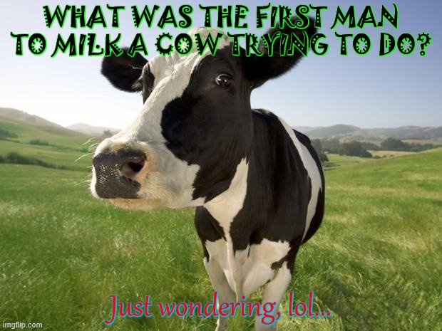 hehehehehehehehehehe | WHAT WAS THE FIRST MAN TO MILK A COW TRYING TO DO? Just wondering, lol... | image tagged in cow | made w/ Imgflip meme maker