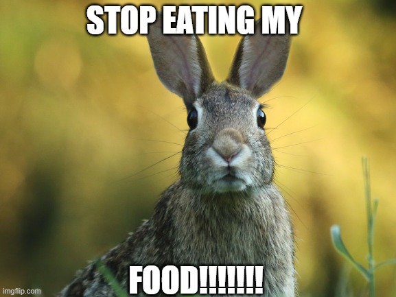 STOP EATING MY; FOOD!!!!!!! | made w/ Imgflip meme maker