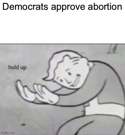 Fallout hold up with space on the top | Democrats approve abortion | image tagged in fallout hold up with space on the top | made w/ Imgflip meme maker