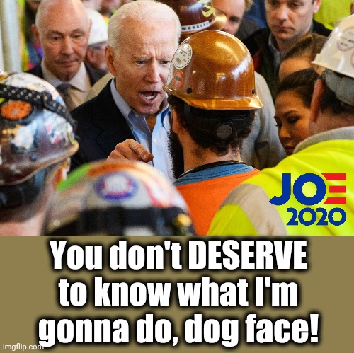 Vote for me, and GO F**K YOURSELF! | You don't DESERVE to know what I'm gonna do, dog face! | image tagged in angry joe biden,memes,stupid liberals,election 2020,senile creep,psycho joe | made w/ Imgflip meme maker