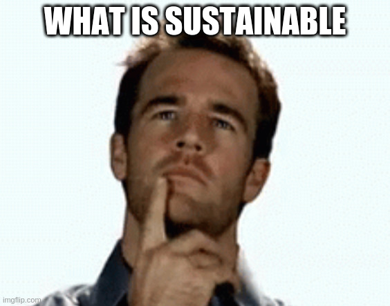 interesting | WHAT IS SUSTAINABLE | image tagged in interesting | made w/ Imgflip meme maker