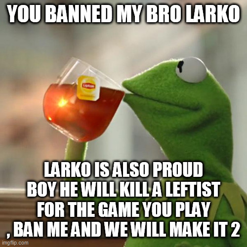 But That's None Of My Business | YOU BANNED MY BRO LARKO; LARKO IS ALSO PROUD BOY HE WILL KILL A LEFTIST FOR THE GAME YOU PLAY , BAN ME AND WE WILL MAKE IT 2 | image tagged in memes,but that's none of my business,kermit the frog | made w/ Imgflip meme maker