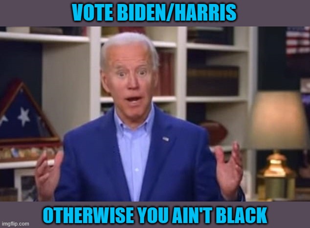 Joe Biden You Ain't Black | VOTE BIDEN/HARRIS OTHERWISE YOU AIN'T BLACK | image tagged in joe biden you ain't black | made w/ Imgflip meme maker