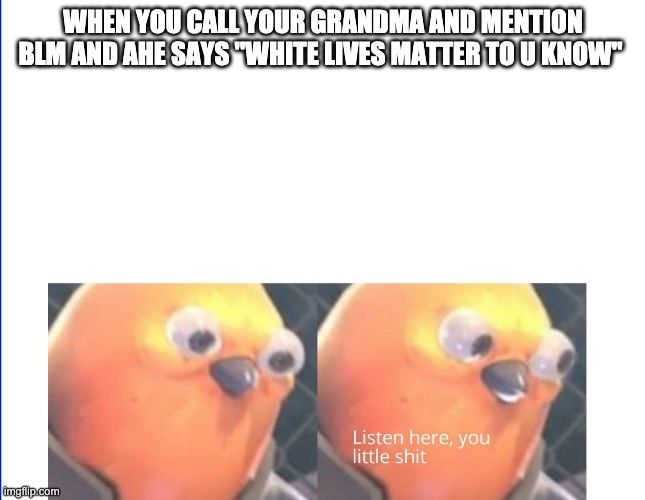 granma u little racist pig | WHEN YOU CALL YOUR GRANDMA AND MENTION BLM AND AHE SAYS "WHITE LIVES MATTER TO U KNOW" | image tagged in listen here you little shit | made w/ Imgflip meme maker