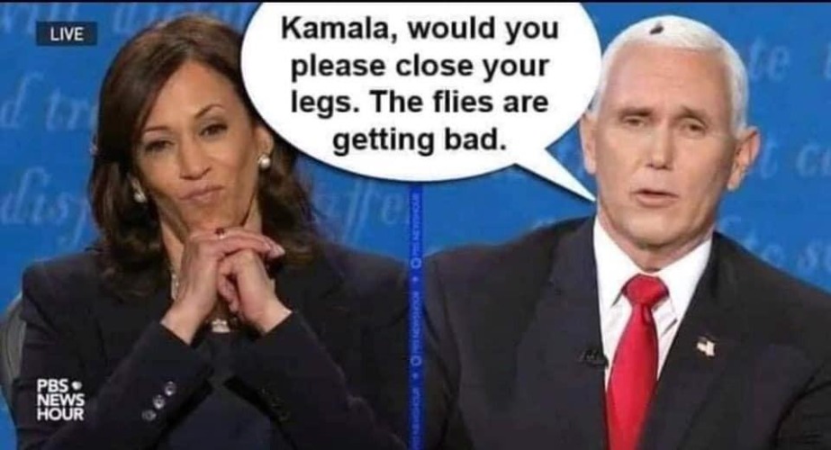 Kamala, would you please close your legs? | image tagged in kamala harris,mcfly,lord of the flies,flies,smelly stank,queen of stank | made w/ Imgflip meme maker