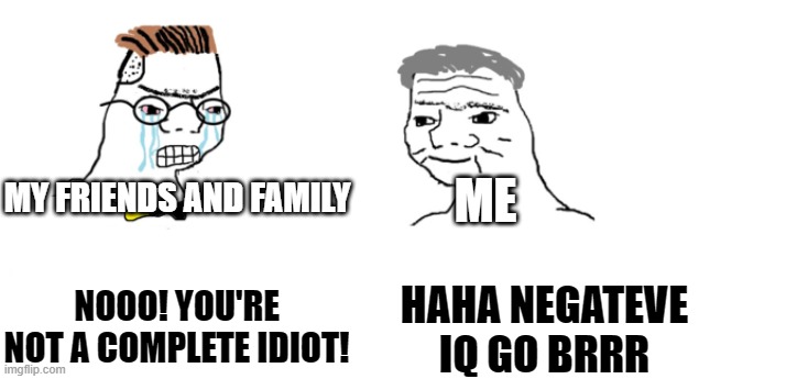 nooo haha go brrr | MY FRIENDS AND FAMILY; ME; HAHA NEGATEVE IQ GO BRRR; NOOO! YOU'RE NOT A COMPLETE IDIOT! | image tagged in nooo haha go brrr | made w/ Imgflip meme maker