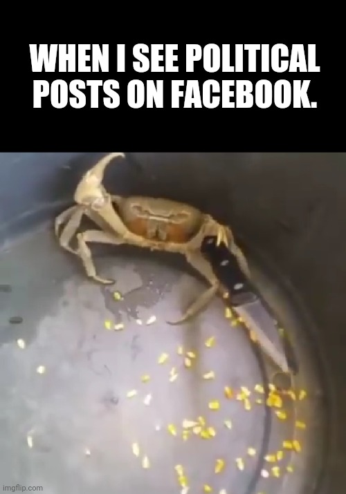 Political | WHEN I SEE POLITICAL POSTS ON FACEBOOK. | image tagged in funny memes | made w/ Imgflip meme maker