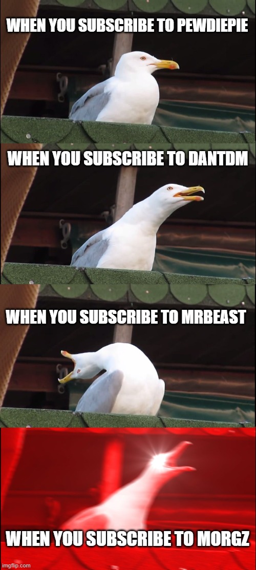 Inhaling Seagull Meme | WHEN YOU SUBSCRIBE TO PEWDIEPIE; WHEN YOU SUBSCRIBE TO DANTDM; WHEN YOU SUBSCRIBE TO MRBEAST; WHEN YOU SUBSCRIBE TO MORGZ | image tagged in memes,inhaling seagull | made w/ Imgflip meme maker