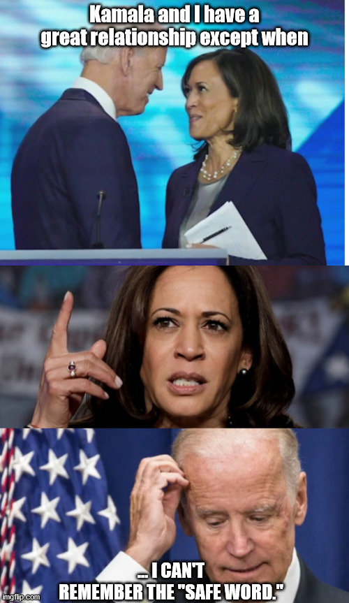 The Safe Word is Second Banana. | Kamala and I have a great relationship except when; ... I CAN'T REMEMBER THE "SAFE WORD." | image tagged in get a room,kamala harris and joe biden | made w/ Imgflip meme maker