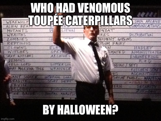 Who had X for Y? | WHO HAD VENOMOUS TOUPÉE CATERPILLARS; BY HALLOWEEN? | image tagged in who had x for y | made w/ Imgflip meme maker