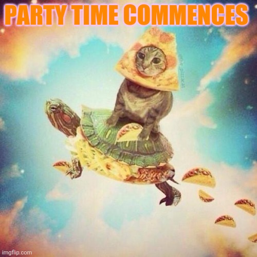 Space Pizza Cat Turtle Tacos | PARTY TIME COMMENCES | image tagged in space pizza cat turtle tacos | made w/ Imgflip meme maker