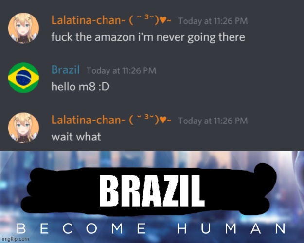 He is going to brazil | BRAZIL | image tagged in detroit become human logo,brazil | made w/ Imgflip meme maker