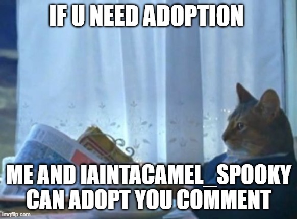 I Should Buy A Boat Cat | IF U NEED ADOPTION; ME AND IAINTACAMEL_SPOOKY CAN ADOPT YOU COMMENT | image tagged in memes,i should buy a boat cat | made w/ Imgflip meme maker