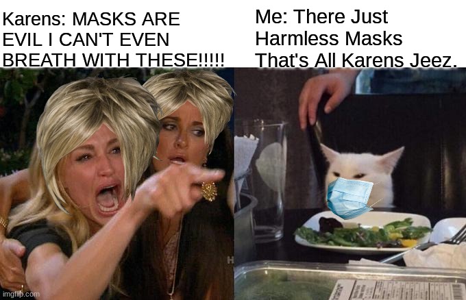 Please Wear The Mask If You Want Covid End | Karens: MASKS ARE EVIL I CAN'T EVEN BREATH WITH THESE!!!!! Me: There Just Harmless Masks That's All Karens Jeez. | image tagged in memes,woman yelling at cat,face mask,karens,vs,cat | made w/ Imgflip meme maker