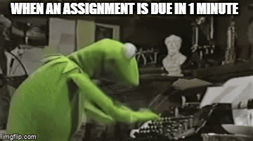school suks | WHEN AN ASSIGNMENT IS DUE IN 1 MINUTE | image tagged in gifs,memes,funny,lol,wow,school | made w/ Imgflip video-to-gif maker