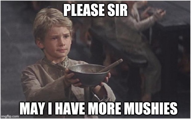 Oliver Twist Please Sir - Imgflip