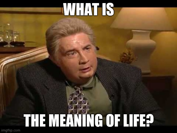 Jiminy Glick | WHAT IS; THE MEANING OF LIFE? | image tagged in jiminy glick | made w/ Imgflip meme maker