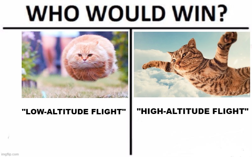 Sven Andreas Lamprecht - The Wizard of Goslar | "HIGH-ALTITUDE FLIGHT"; "LOW-ALTITUDE FLIGHT" | image tagged in memes,who would win,cats,flight,flying,funny | made w/ Imgflip meme maker
