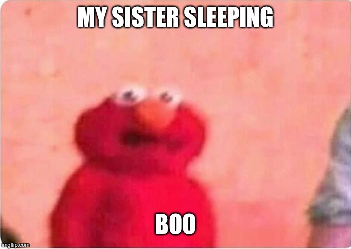 Sickened elmo | MY SISTER SLEEPING; BOO | image tagged in sickened elmo | made w/ Imgflip meme maker