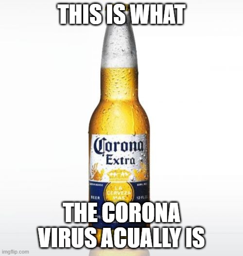 Corona | THIS IS WHAT; THE CORONA VIRUS ACUALLY IS | image tagged in memes,corona | made w/ Imgflip meme maker