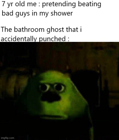 sorry, bathroom ghost's | image tagged in ghost,memes,mike wazowski face swap,bathroom | made w/ Imgflip meme maker