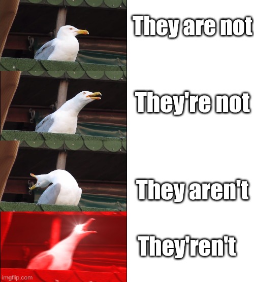 They are not; They're not; They aren't; They'ren't | image tagged in blank white template,memes,inhaling seagull | made w/ Imgflip meme maker