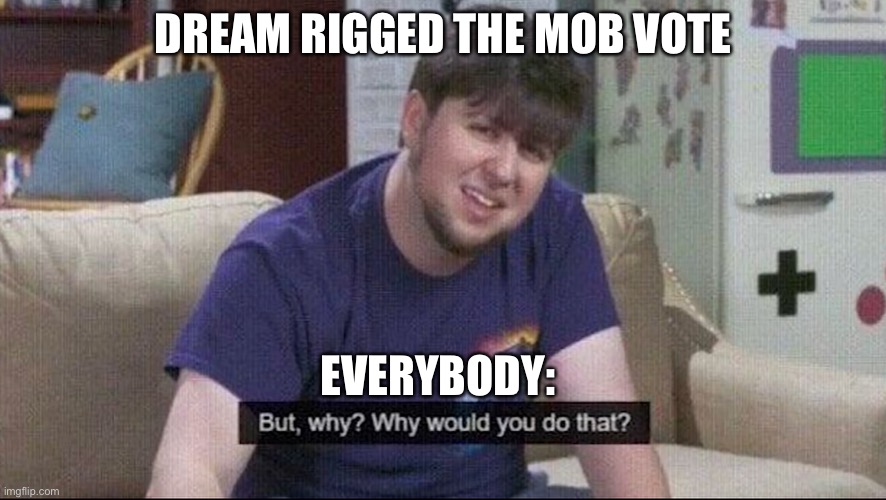 But why why would you do that? | DREAM RIGGED THE MOB VOTE; EVERYBODY: | image tagged in but why why would you do that | made w/ Imgflip meme maker
