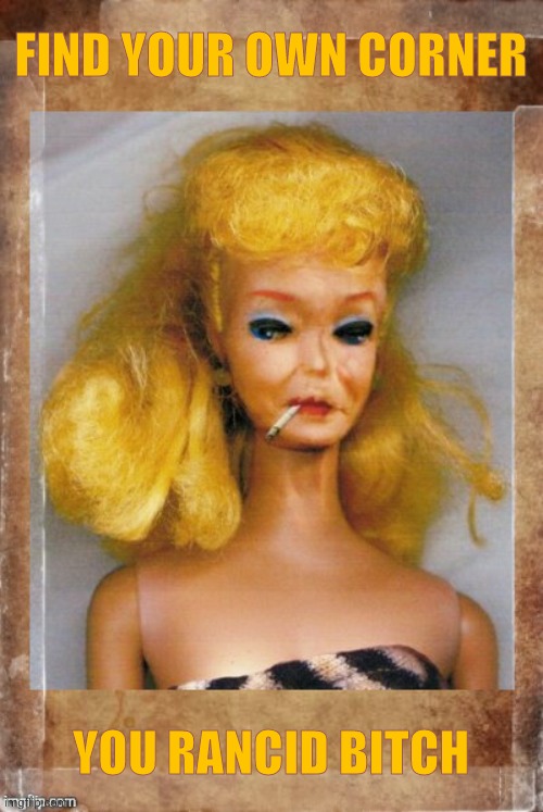 Crack Ho Barbie,,, | FIND YOUR OWN CORNER YOU RANCID BITCH | image tagged in crack ho barbie | made w/ Imgflip meme maker
